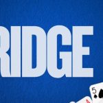 Adults playing a friendly game of Bridge during the Worth Township Bridge Card Game program.