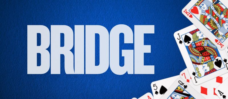 Adults playing a friendly game of Bridge during the Worth Township Bridge Card Game program.